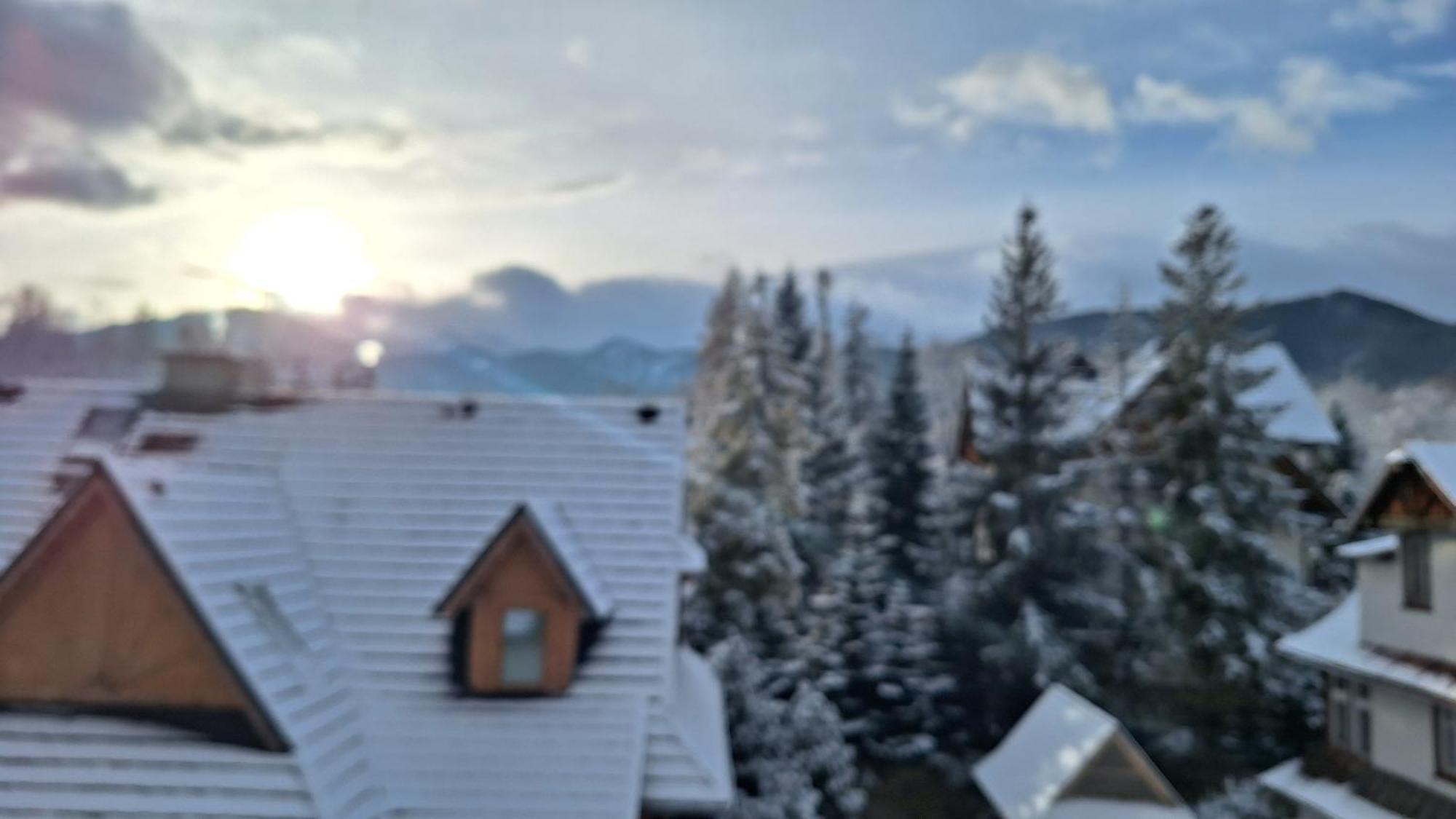 Willa U Kosle 2 Zakopane Exterior photo