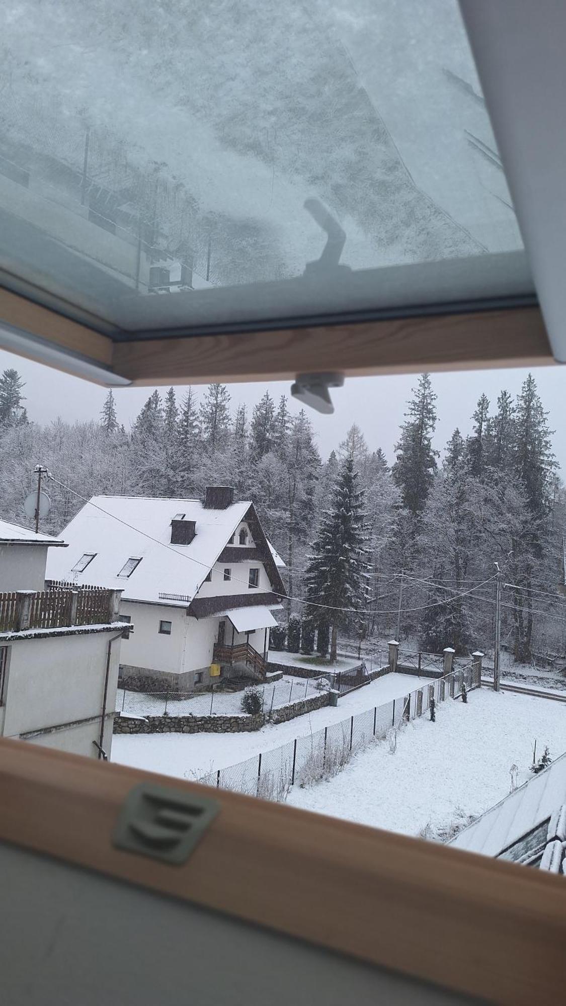 Willa U Kosle 2 Zakopane Exterior photo